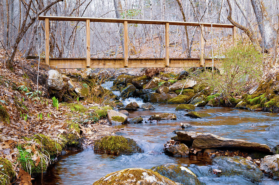 A stream flowing under a wooden foot bridge Photograph by Steven ...