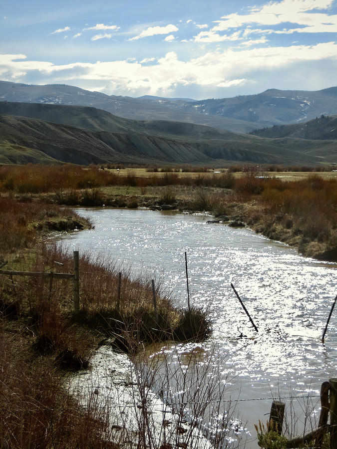 A Stream in a Field Photograph by Rachel Morrison - Fine Art America