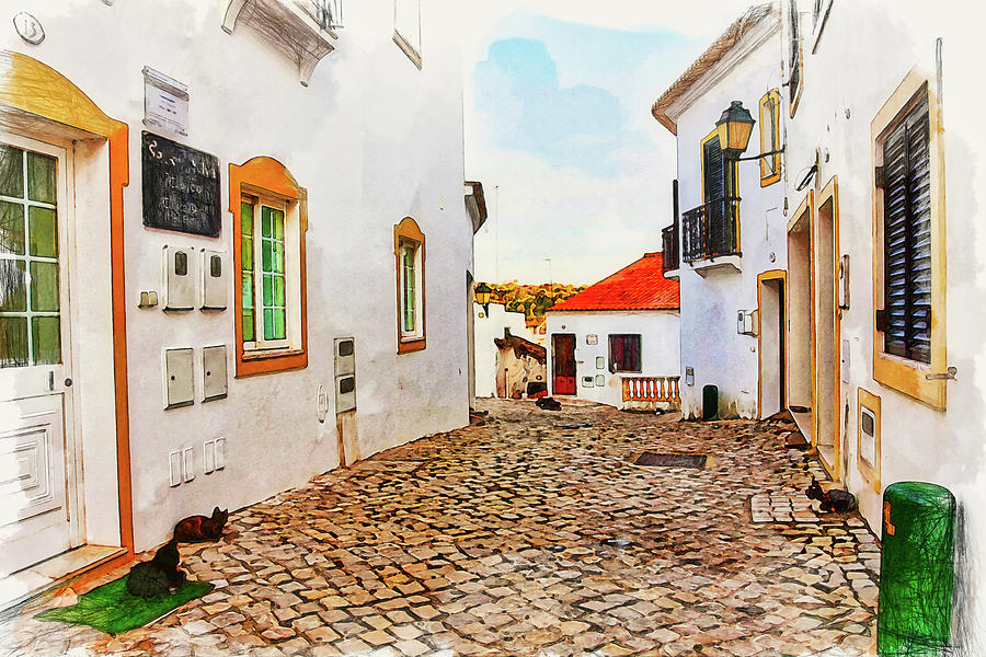 A street with cats in Portugal Photograph by Tatiana Travelways