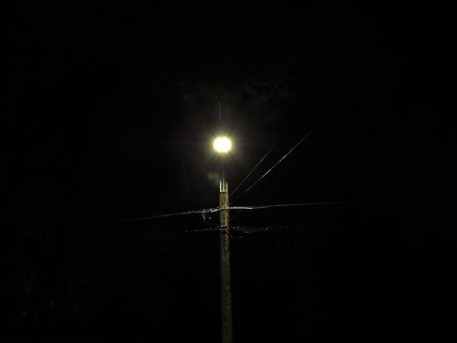 A Streetlight At Night Photograph by Ed Williams
