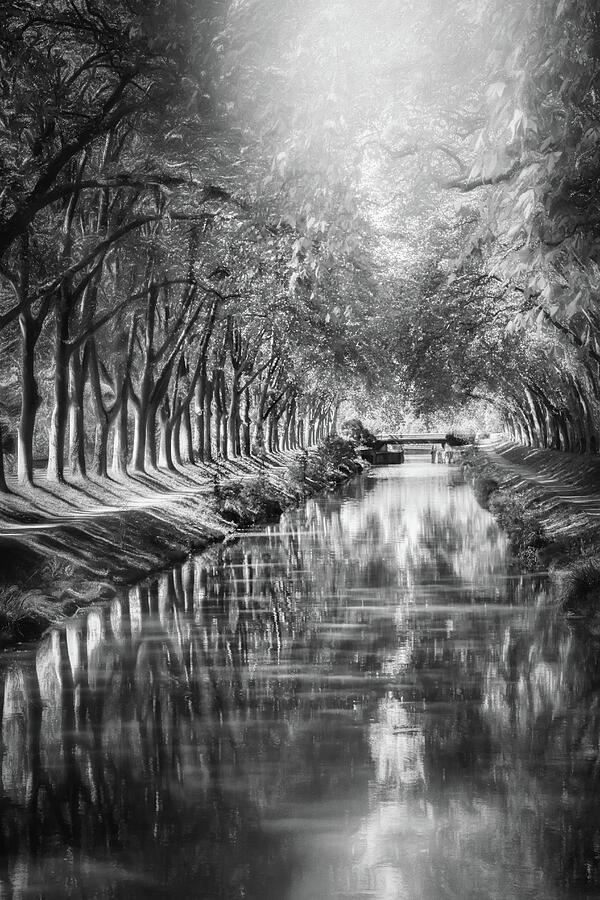 A Stroll Along Canal de Brienne Toulouse France Black and White  Photograph by Carol Japp