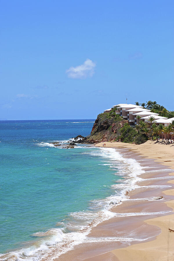 A stroll in paradise Photograph by Laurie Lago Rispoli A stroll in paradise Photograph by Laurie Lago Rispoli