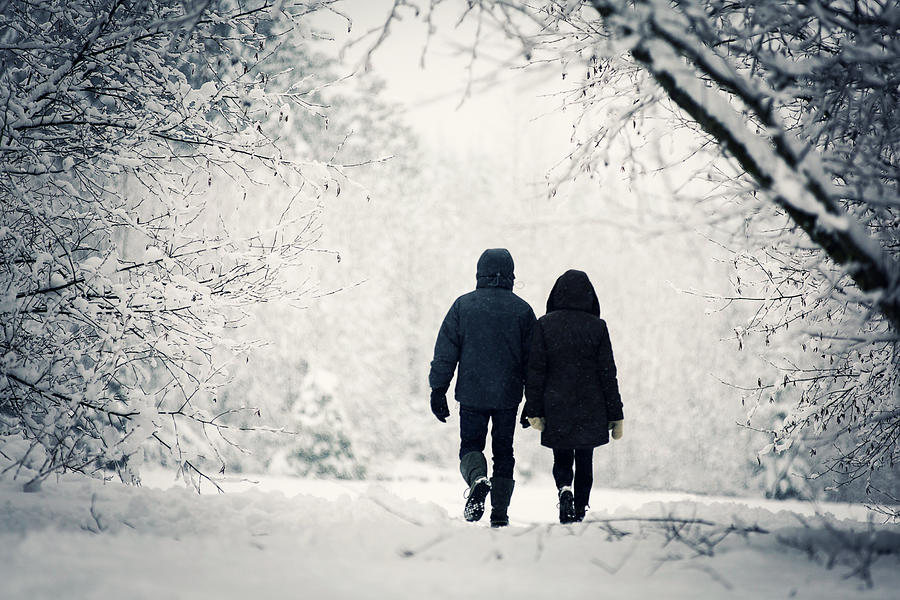 A Stroll in the Snow Photograph by Kevin van der Leek Photography