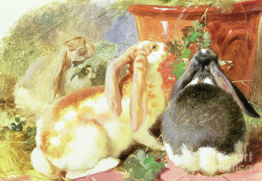 A Study of Three Lop Eared Rabbits, 1851 Painting by John Frederick Herring Snr