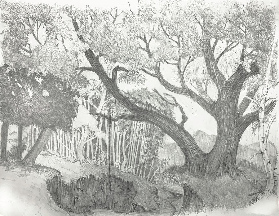 A summer Memory Drawing by Joel Keener A summer Memory Drawing by Joel Keener