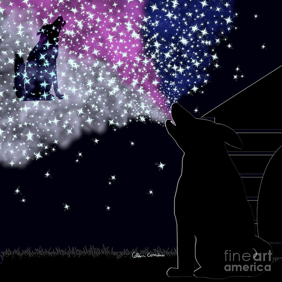 A Summer Night with Sirius  Digital Art by Colleen Cornelius