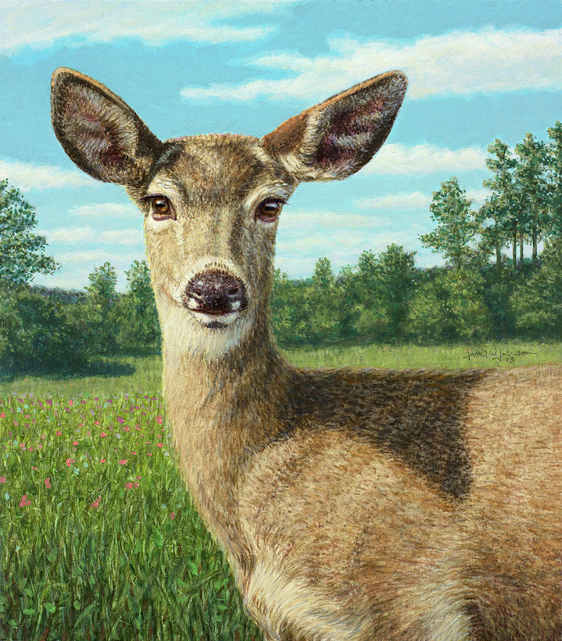 Deer Painting - A Sunny Doe by James W Johnson