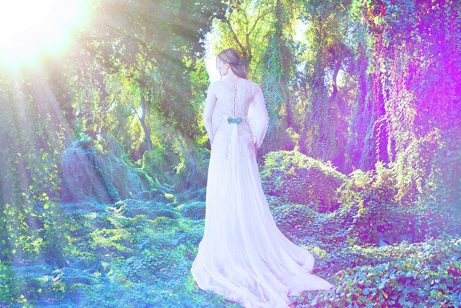 A Sunrise Forest Bride Photograph by Marilyn MacCrakin