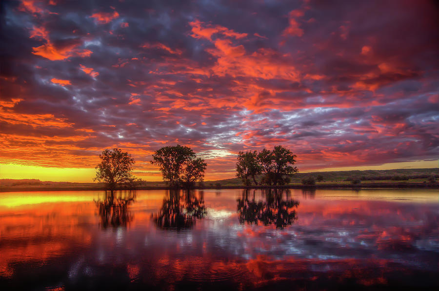 A Sunrise Over Cox Lake Photograph by Fiskr Larsen