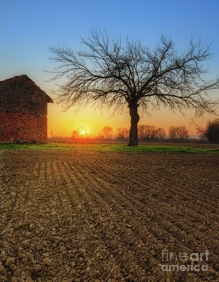 A sunset in the countryside vertical  Photograph by The P