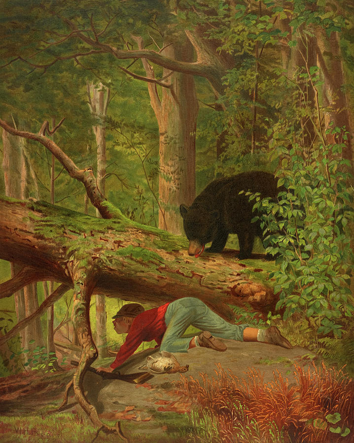 Black Bear Painting - A Surprise Party by William Holbrook Beard