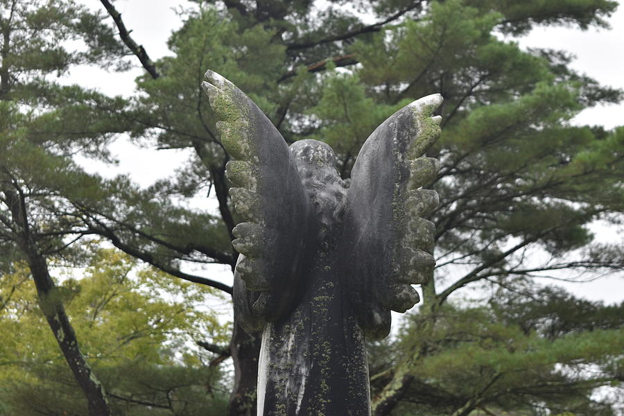 Nature Photograph - A surreal statue of an angel in Manchester, Vermont.  by Blake William