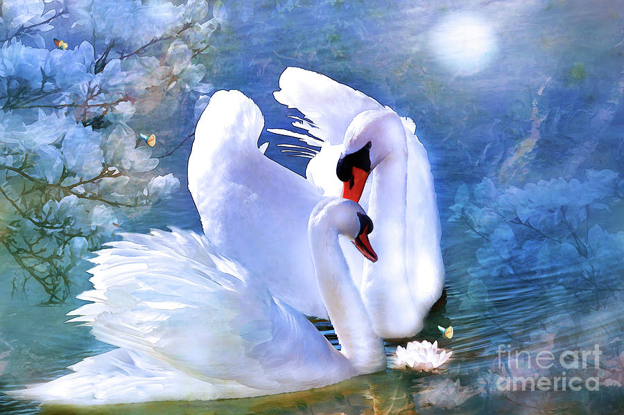 A Swans Date  Mixed Media by Elaine Manley