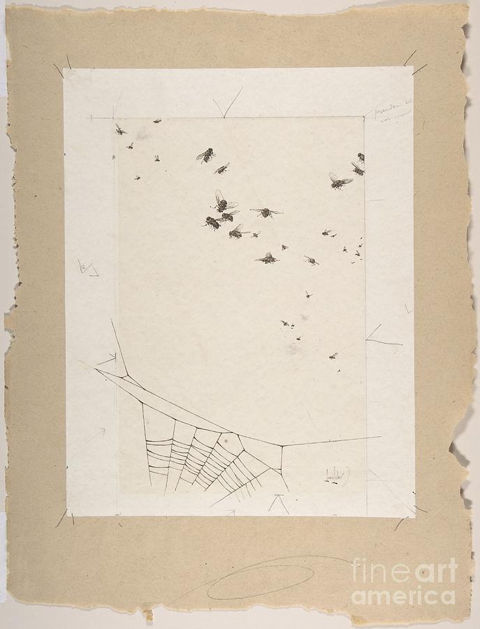 A Swarm Of Flies Above A Spiders Web Painting