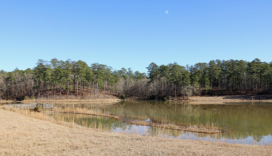 A Sweet Georgia Country Pond Photograph by Ed Williams