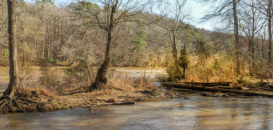 A Sweetwater Creek Glimpse Photograph by Ed Williams