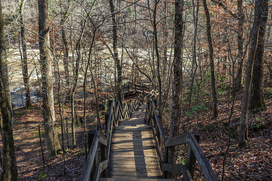 A Sweetwater Creek Hike Photograph by Ed Williams