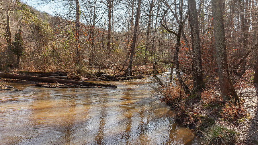 A Sweetwater Creek Wind Photograph by Ed Williams