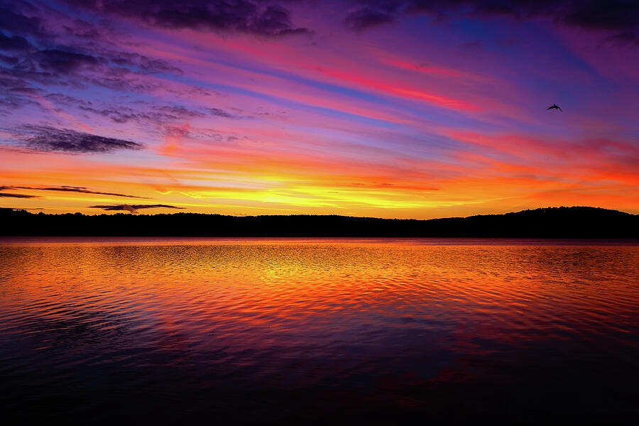 A Symphony of Sunrise Colors Photograph by NorthEast Creativity A Symphony of Sunrise Colors Photograph by NorthEast Creativity