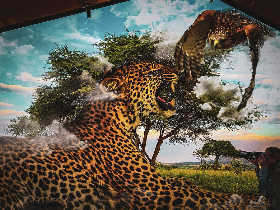 A TENT'S EYE VIEW by Elie Wolf A TENT'S EYE VIEW by Elie Wolf