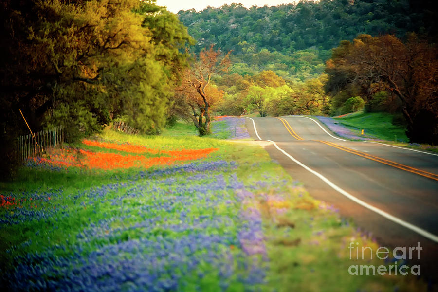 A Texas Road In Spring Photograph