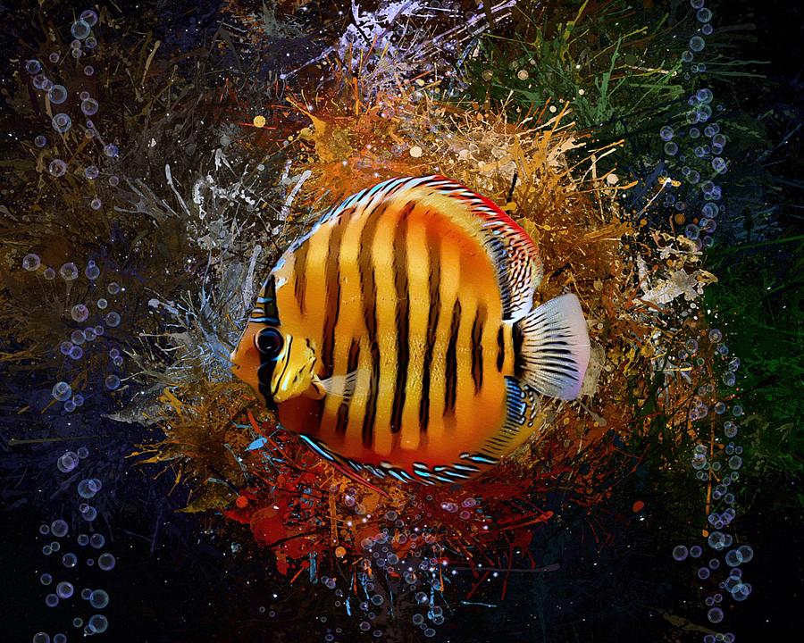 A Tiger Discus Fish Digital Art