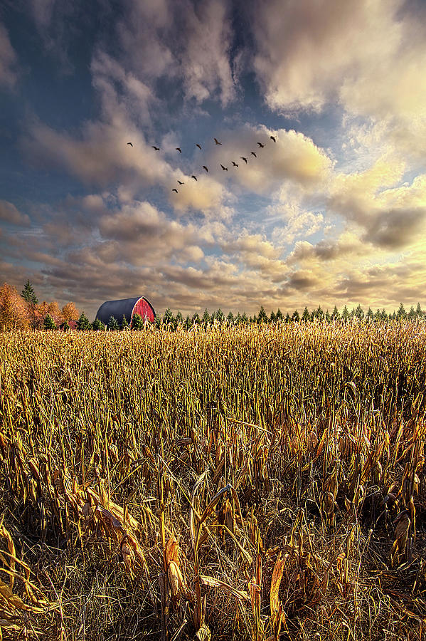 A Time of Harvest Photograph by Phil Koch