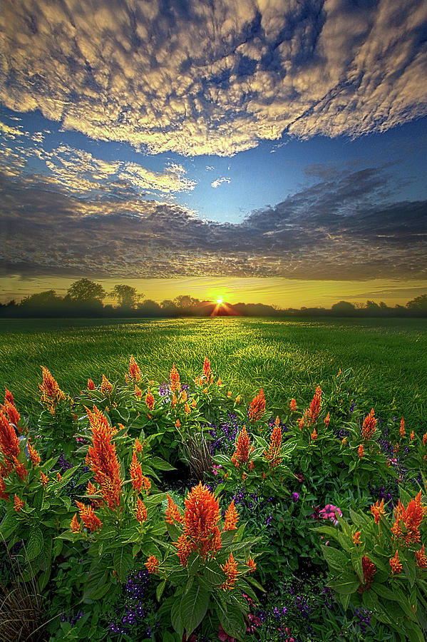 A Time To Keep Photograph by Phil Koch