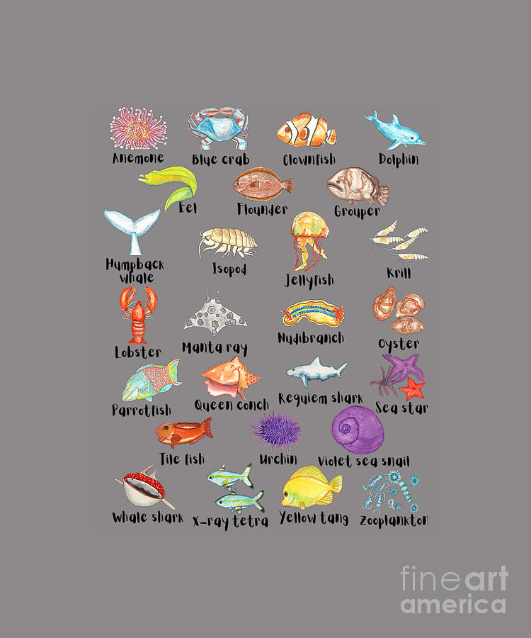 A To Z Sea Life Ocean Animals Alphabet ABC Tapestry - Textile By Isobel ...