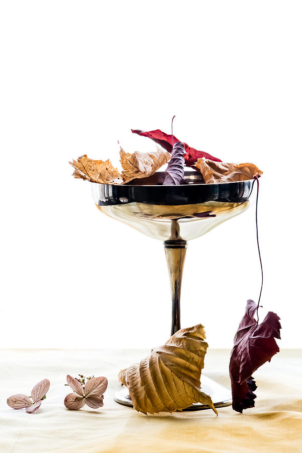 Still Life Photograph - A Toast to Fall  by Maggie Terlecki