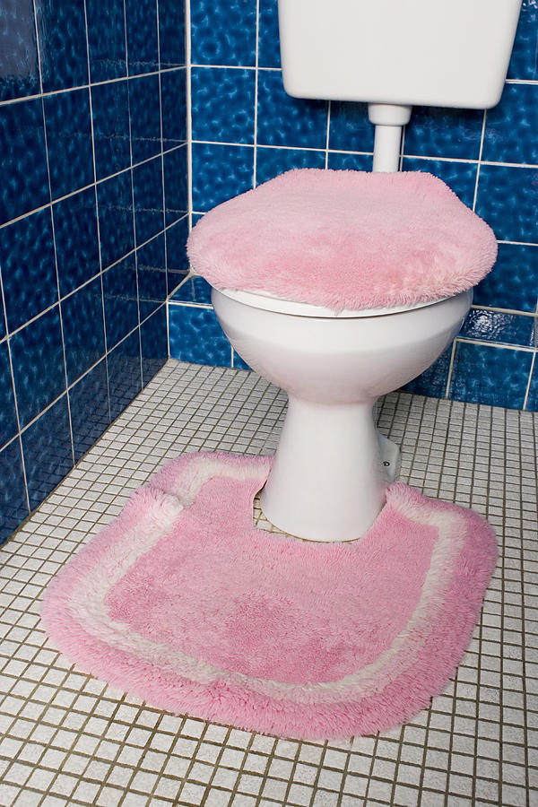 A toilet with fluffy pink seat cover and rug Photograph by Gwendolyn Plath