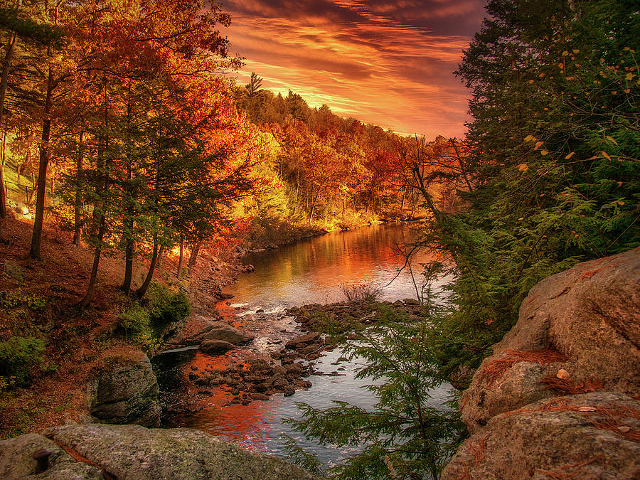A Touch of Autumn Photograph by Bob Orsillo