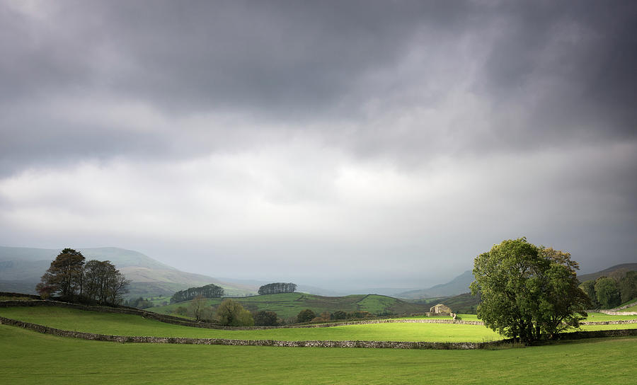 A Touch of Light, Yorkshire Dales, England, UK Photograph by Sarah Howard