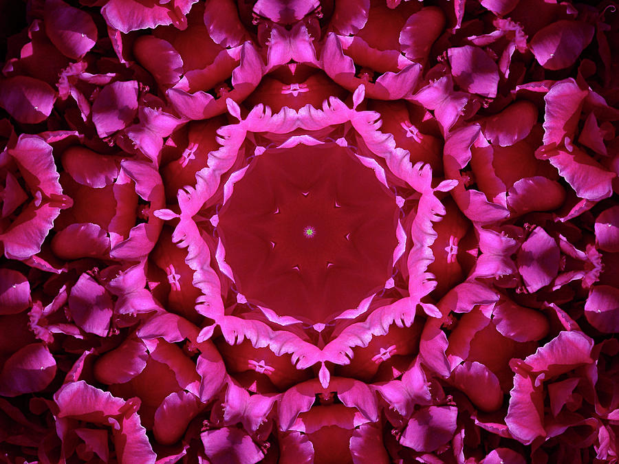 A Touch of Red Kaleidoscope  Photograph by Mike McBrayer