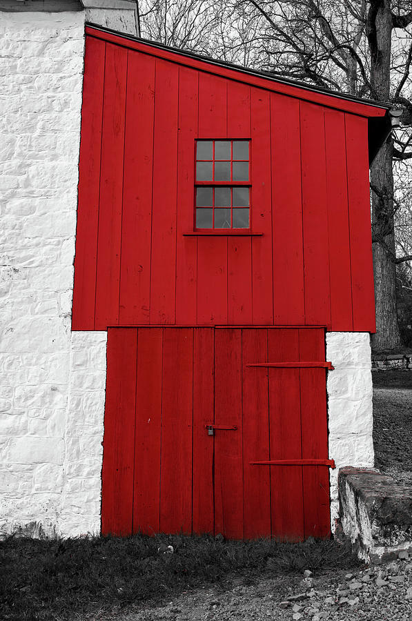 A Touch of Red Photograph by Rose Guinther