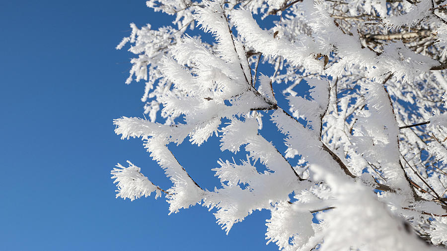 A Touch Of Winter Photograph By Maxim Kovalishin - Fine Art America