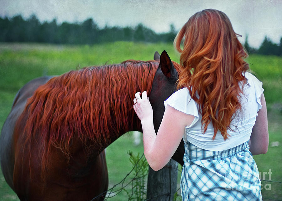 Horse Photograph - A Touching Moment between Two Gingers by Barbara McMahon