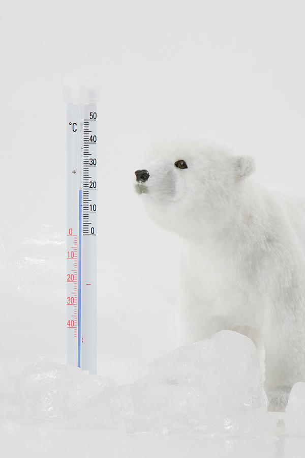 A toy polar bear ice and a thermometer Photograph by Image Source