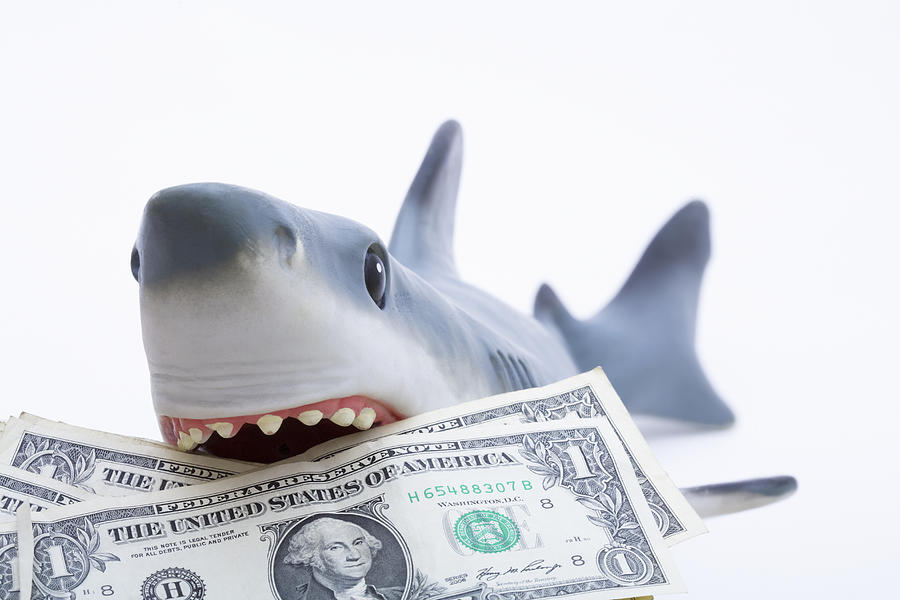 A toy shark holding U.S. dollar bills Photograph by Diane Macdonald