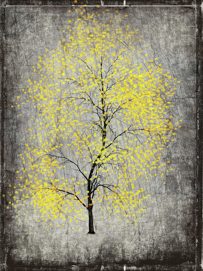 A Tree Decorated In Yellow Photograph by James DeFazio