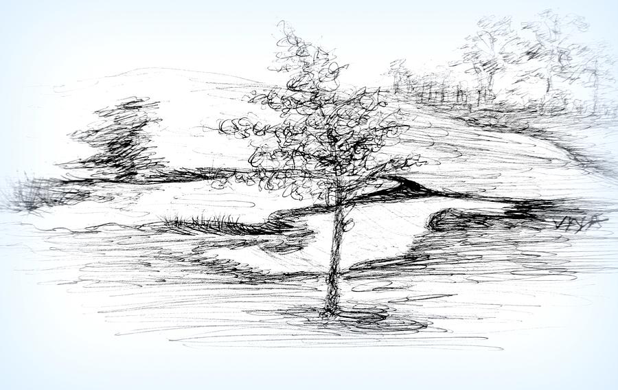 A Tree Grows in Sydney-Sketch Drawing by VIVA Anderson
