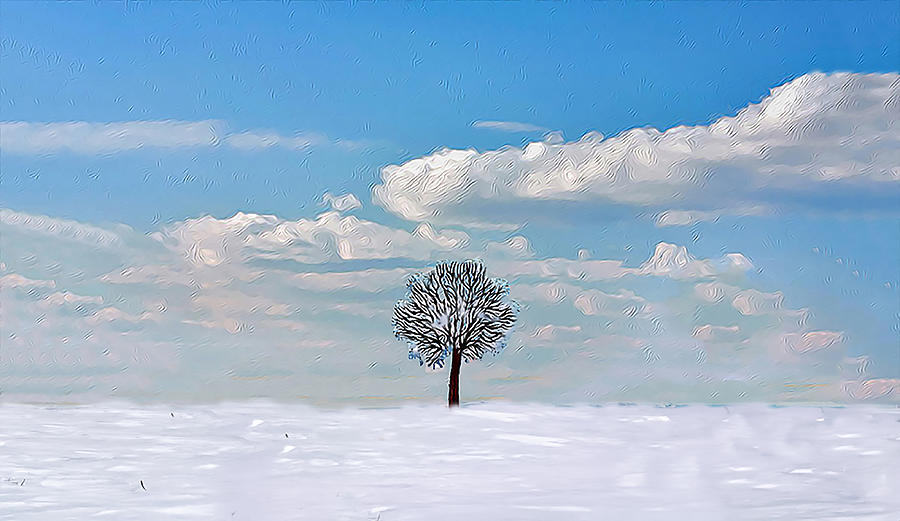 A Tree in Winter Photograph by Jim Dollar