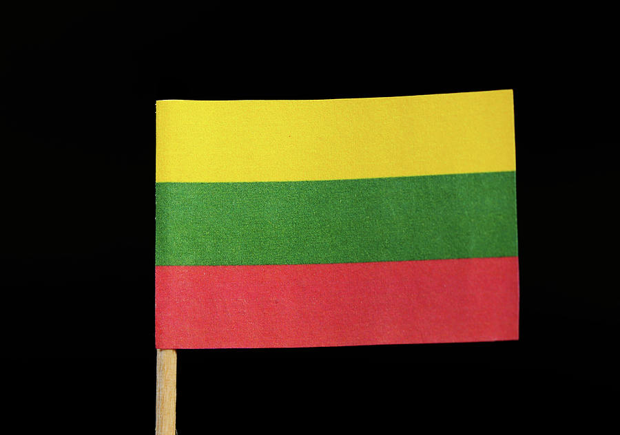Flag of Lithuania Photograph by Vaclav Sonnek