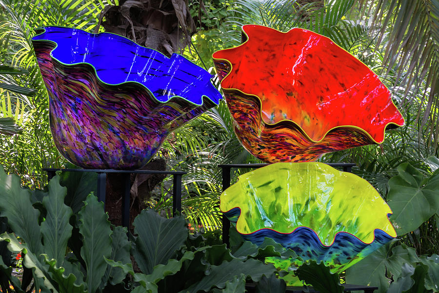 A Trio of Chihuly Photograph by Stewart Helberg