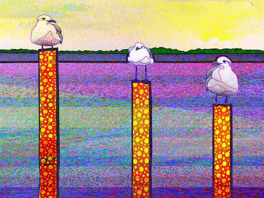 A Trio Of Gulls Digital Art by Rod Whyte