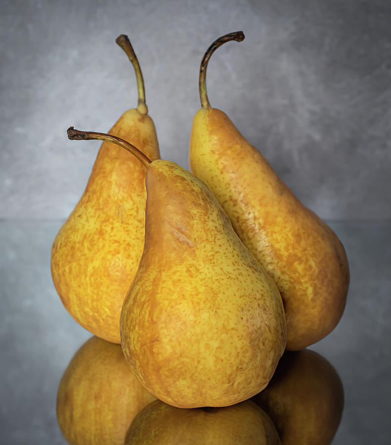 A Trio of Pears Photograph by Sylvia Goldkranz