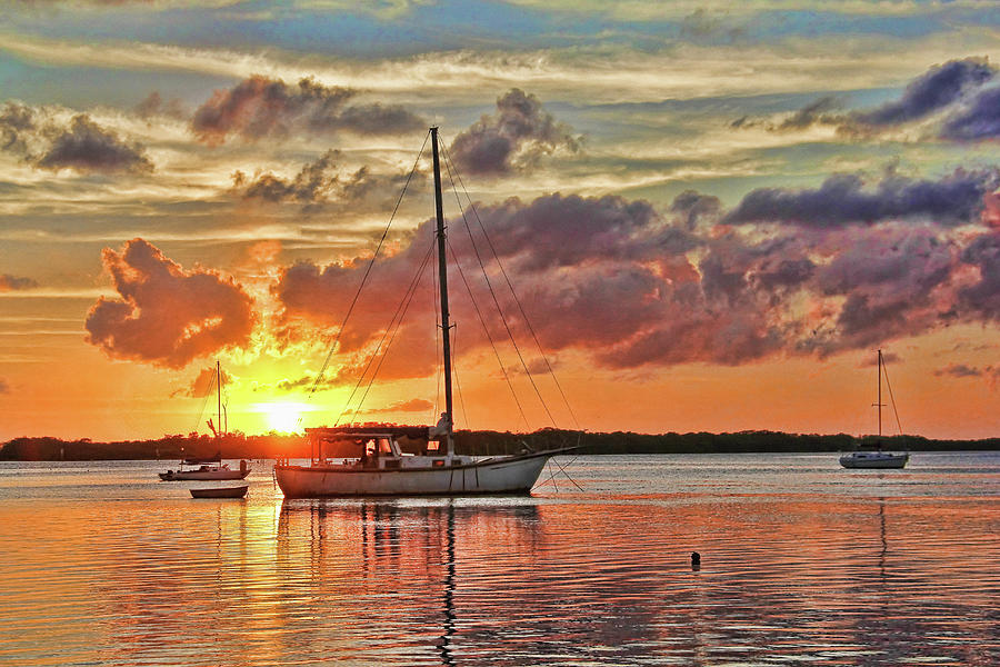 A Tropical Florida Sunrise Photograph by HH Photography of Florida