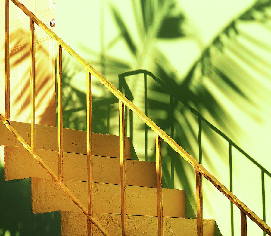 A tropical vibe Photograph by Luz Resto A tropical vibe Photograph by Luz Resto