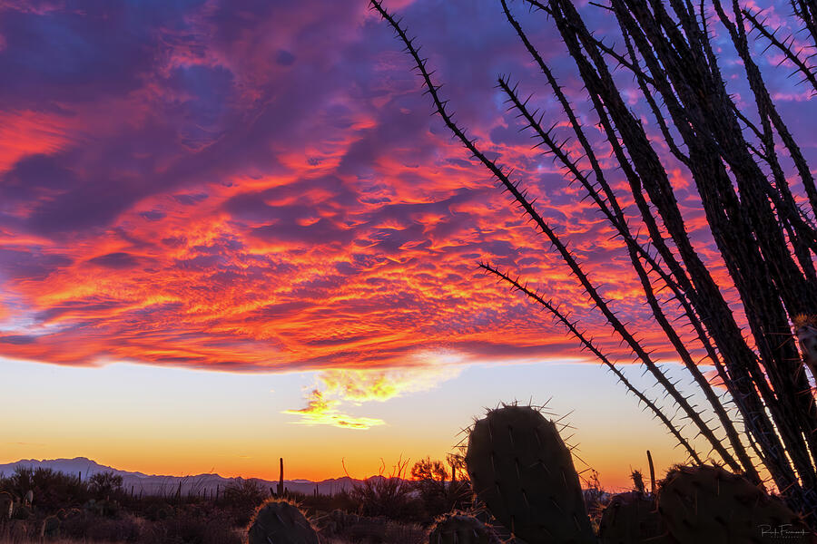 A Tucson Sky Photograph by Rick Furmanek