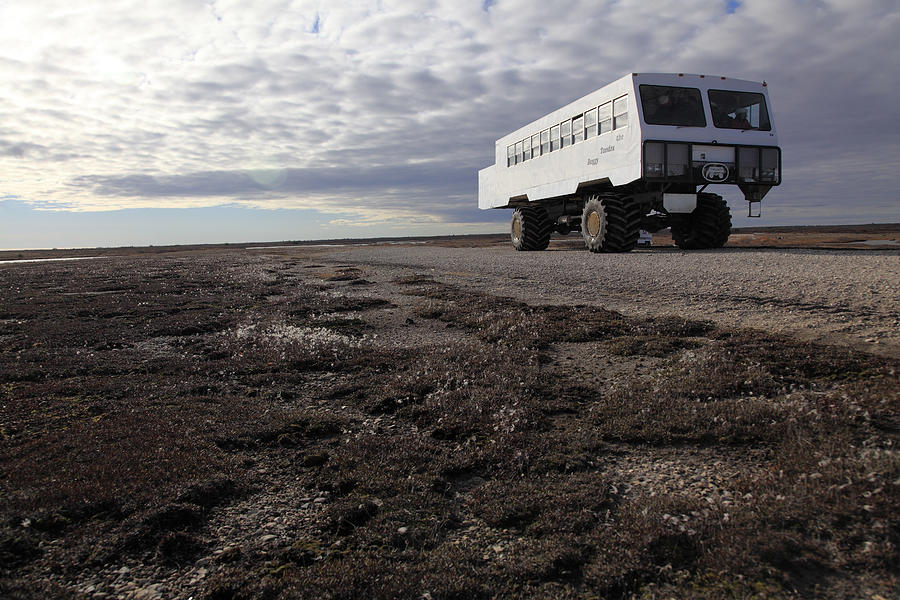 A tundra Buggy on Arctic Tundra Photograph by Bruce Yuanyue Bi
